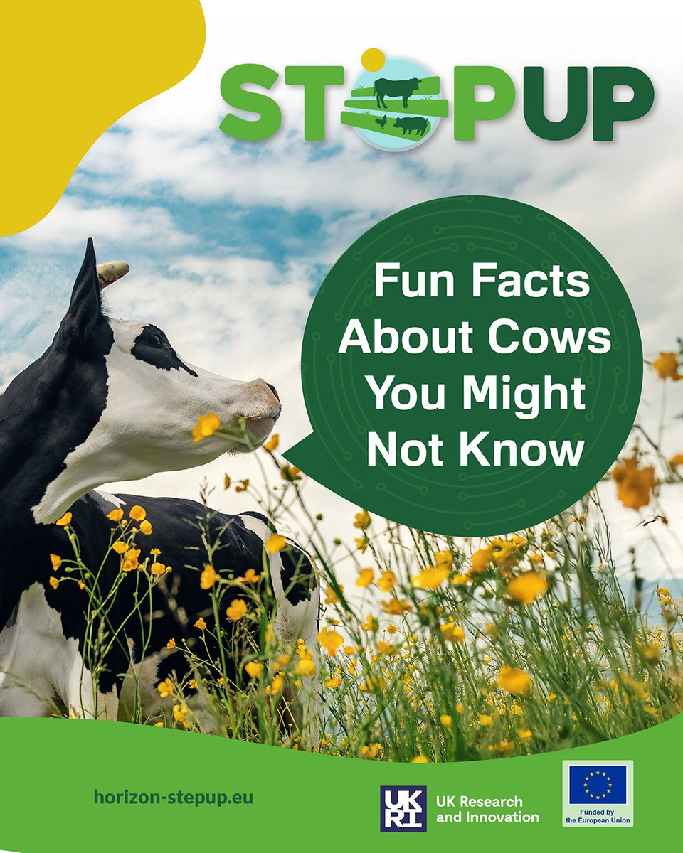 Horizon_StepUp tweet media