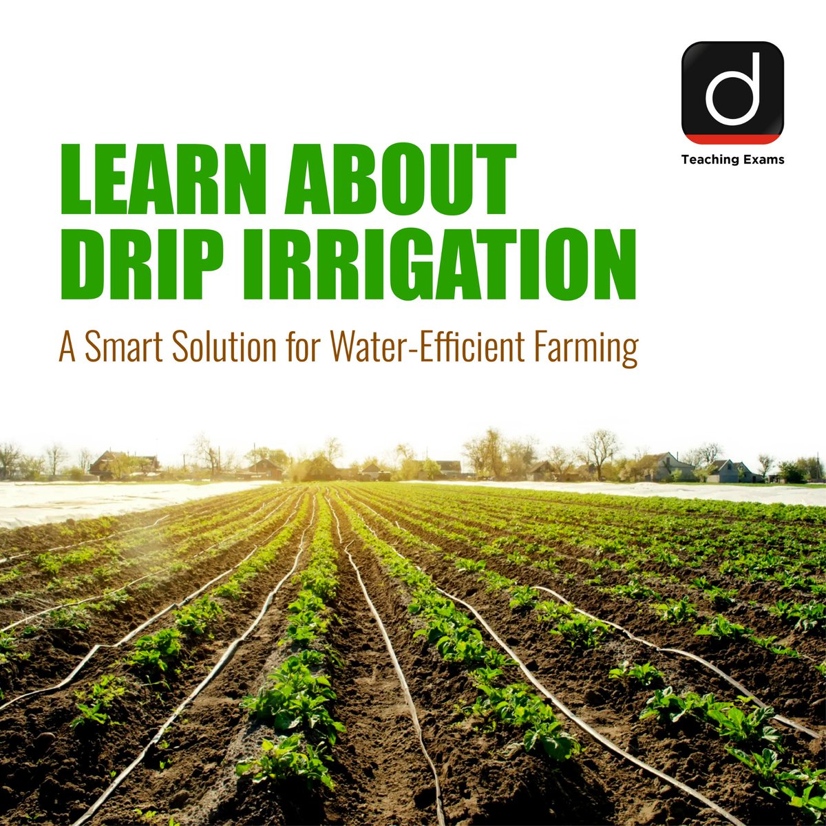 Drishtiteaching's tweet image. Drip Irrigation: A Smart Solution for Water-Efficient Farming

#DripIrrigation #Agriculture #TeachingConcepts #DailyConcepts #DrishtiTeachingExams