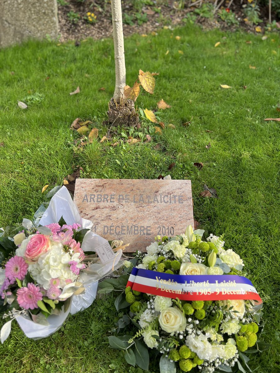 Luc_Bouard tweet media