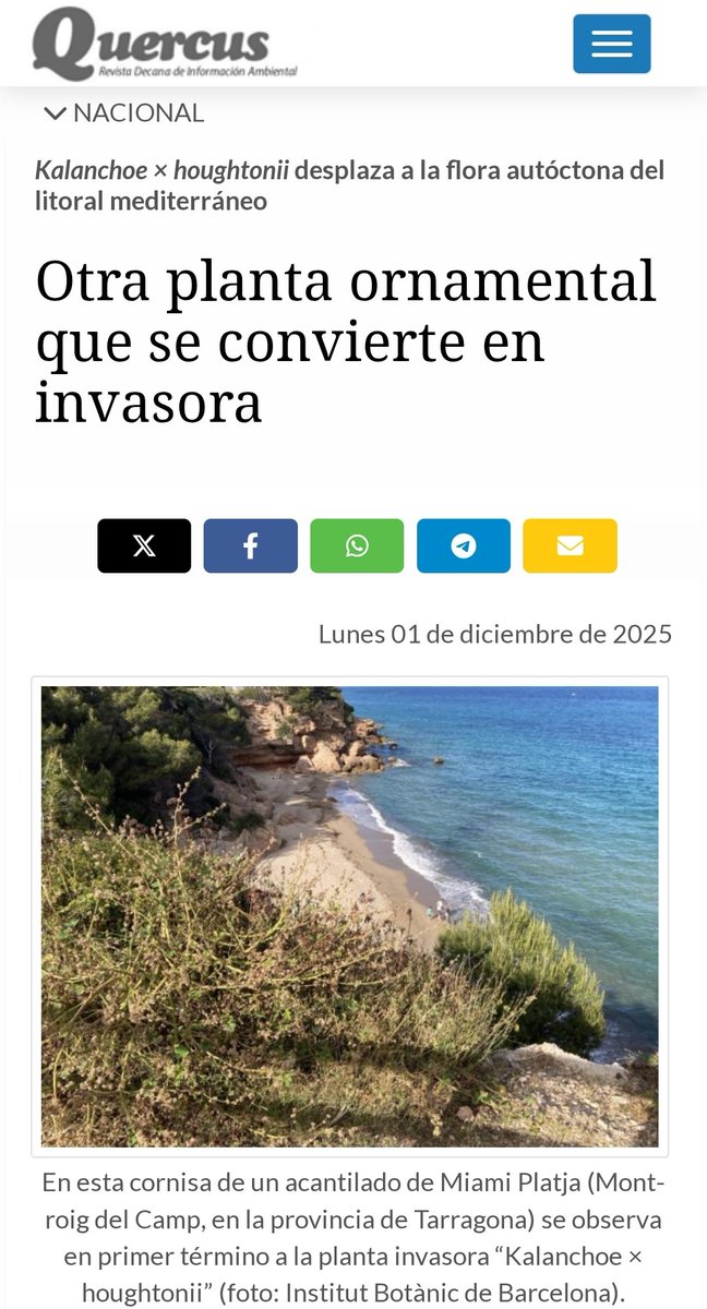 Joan Ramon tweet media