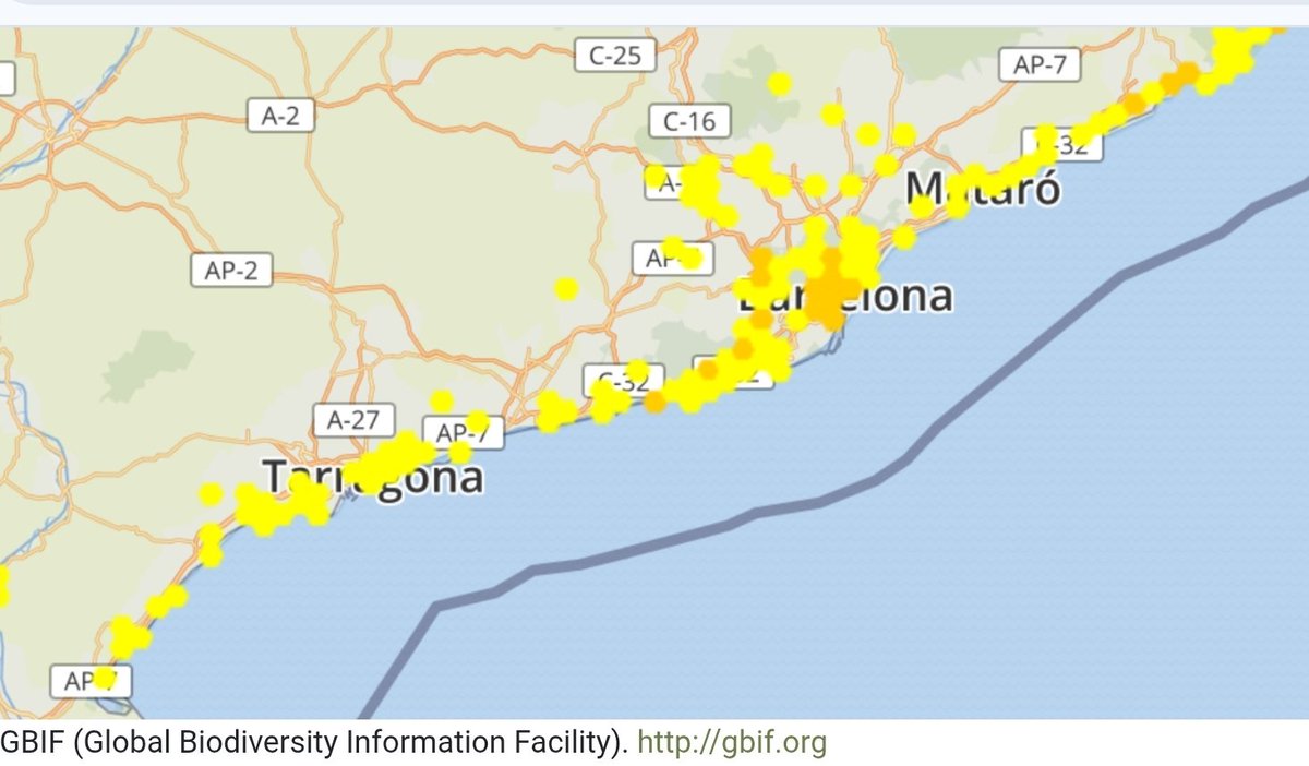 Joan Ramon tweet media