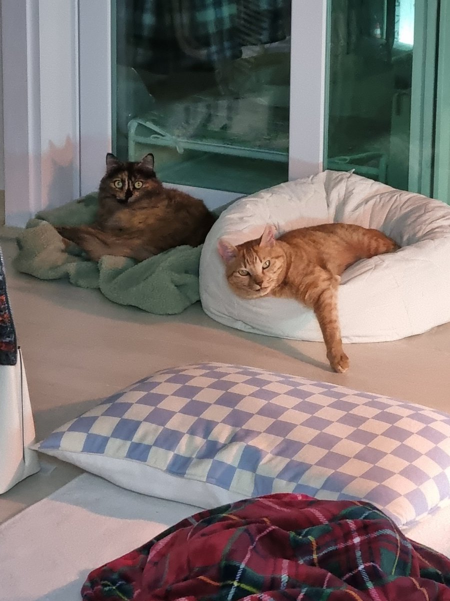 세상에 이렇게 안락할수가