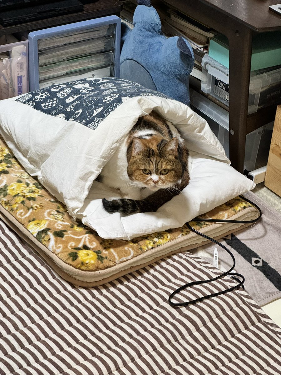 JZ5 (@jz5) / Posts / X