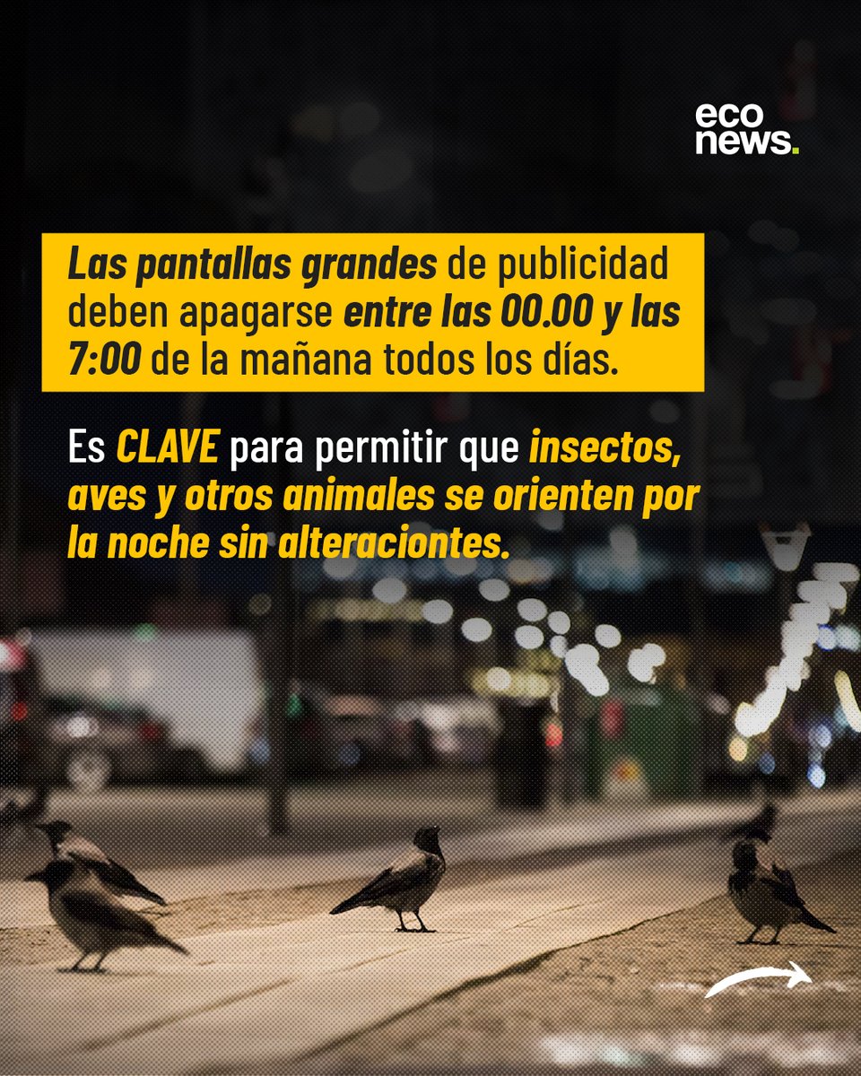 Para proteger a los animales, las personas y el ambiente 🌎

🇵🇪 El Gobierno de Perú estableció un marco normativo que regula por primera vez la intensidad lumínica generada por fuentes de luz artificial en el país. 

🏙️ Es una medida clave para el ambiente, las personas y los