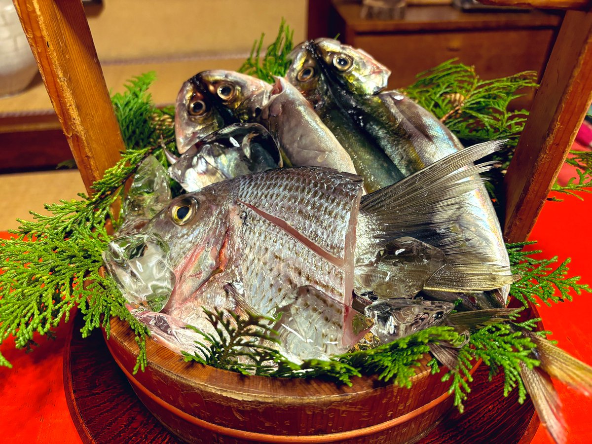 yousei_group's tweet photo. 伏見は地下も旨いが地上も旨い
伏見ぜいたくビジネスランチ四選
① 『ひびの食堂』
毎朝市場直送。致死量ボリュームの海鮮丼
②『竹亭』
魚も選べる調理法も選べる楽しい魚ランチ
③『Beef Junkie』
レアハンバーグの先駆者。ほぼ上質ユッケ
④ 『伏見あおい』
青魚専門店。臭みなく甘い奇跡の鯖の刺身 https://t.co/JVL22WIGR4