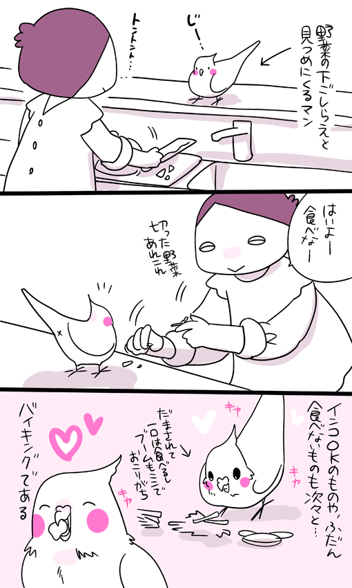 dollchka's tweet photo. 今日はニンジンとキャベツと青菜とお芋さん
この形式で食べないでも出してるとある日いきなり食べ始めるのでオススメ
更にお湯あげると角打ちインコちゃんの出来上がりですげえ可愛いですｗオススメｗ https://t.co/xYLJaXj4ZI