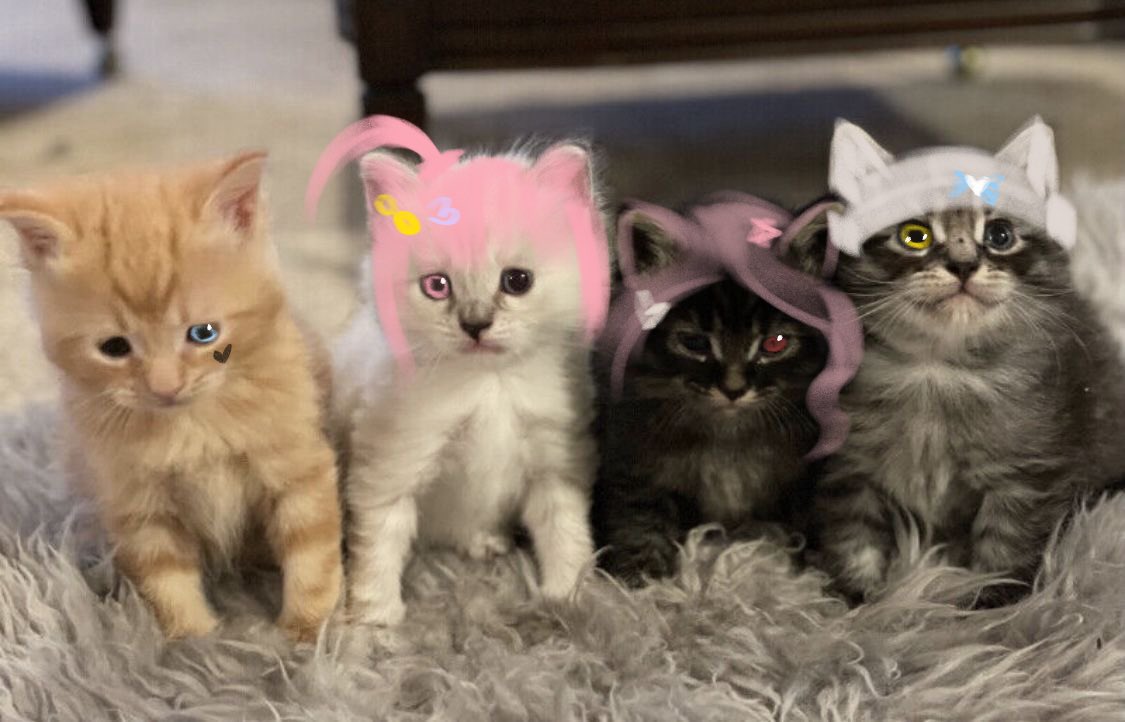 ruismanager's tweet image. 