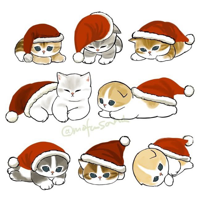 🎅帽子被っちゃった