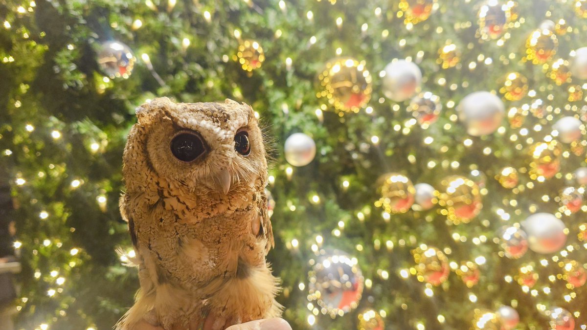 何か、何も考えずにボーッとマルとベンチでも座って音楽でも聴いてたい