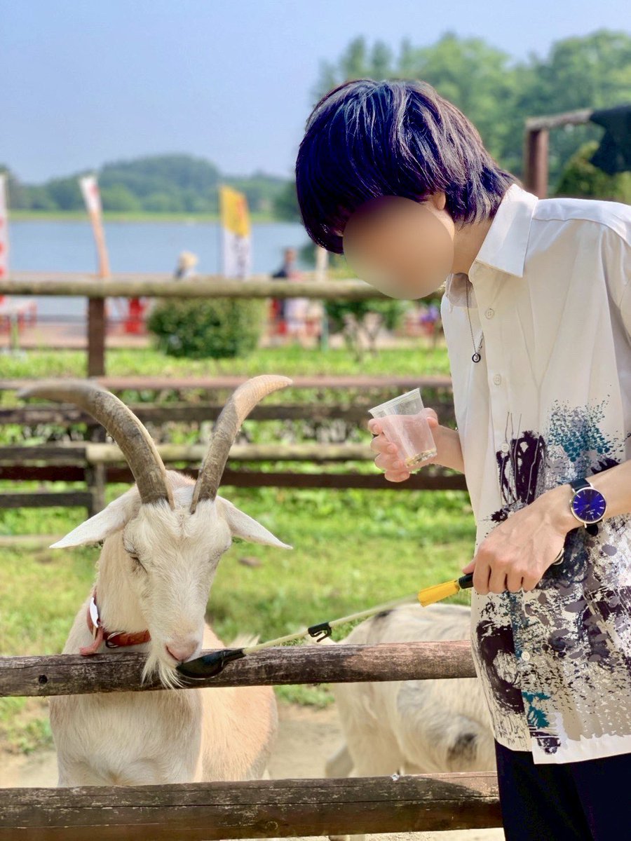 フォロワー8000人ありがとうございます。 曲を作ってます。