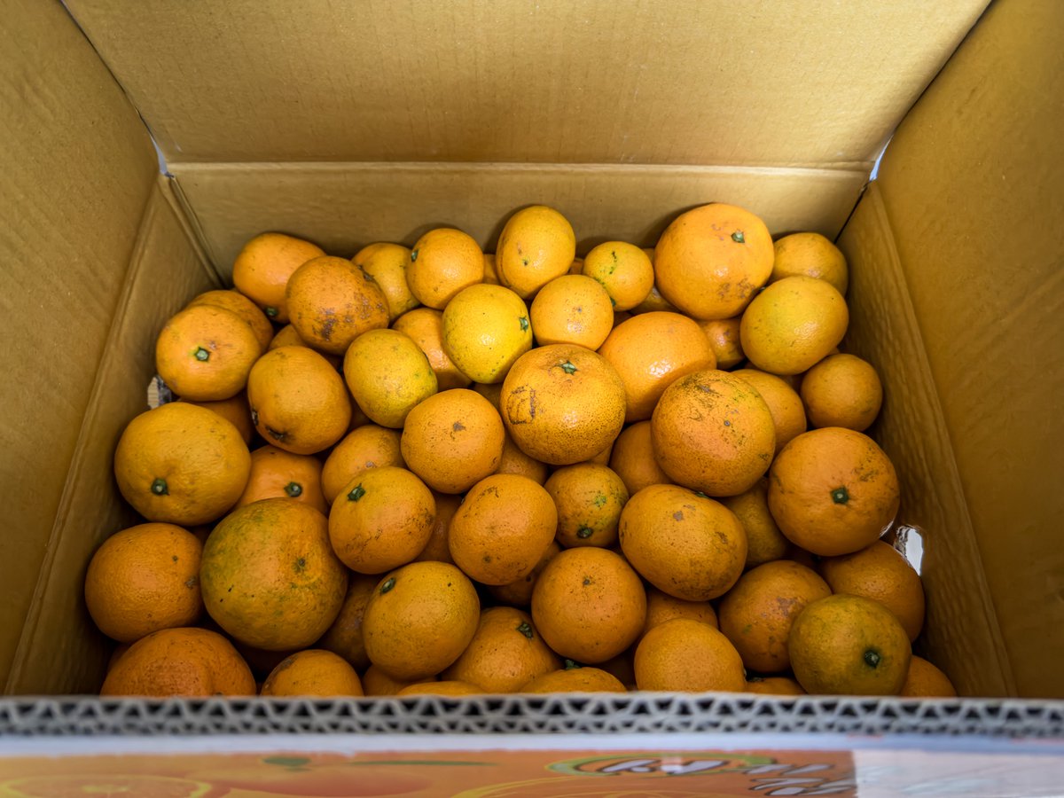 제주 사는 지인이 귤 한박스 보내줌 ㅋㅋㅋ 넘 좋다