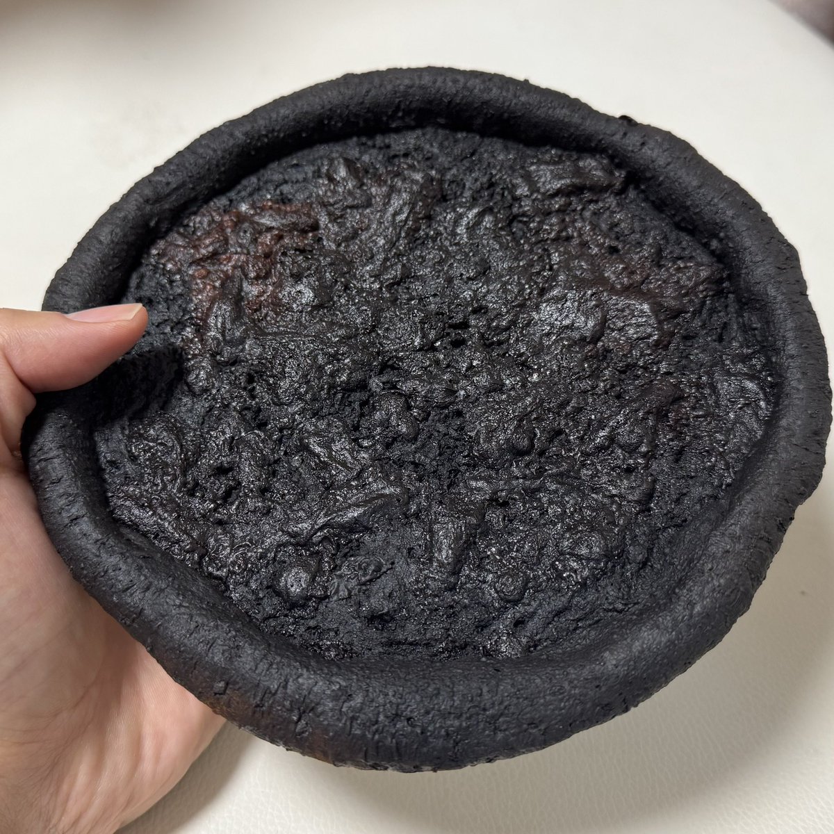 Akira_Akagawa's tweet photo. ブラックフライデーで奮発して手に入れたヘルシオ最上位機種の初仕事。

ピザがまるで地獄の門。戦犯は私です。 https://t.co/QBKLJLuzEF