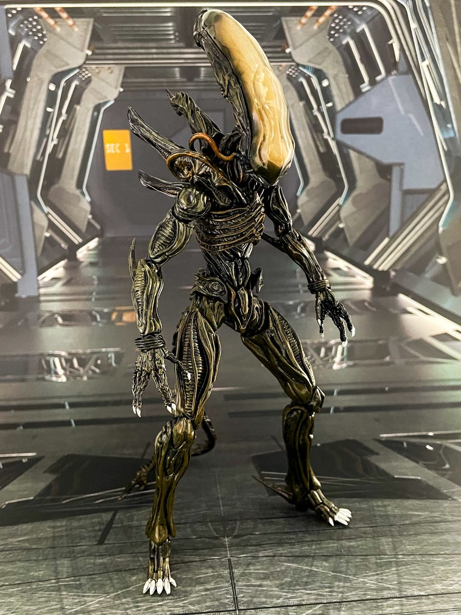 Yoshi. (@Yoshi6054) / Highlights / X