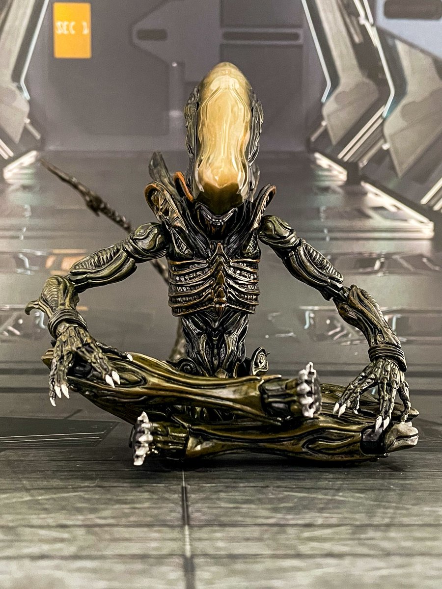 Yoshi. (@Yoshi6054) / Posts / X