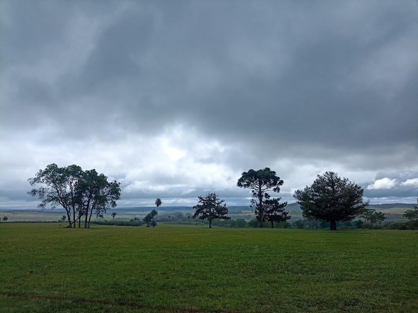 P. Julio Ramos sdb. tweet media