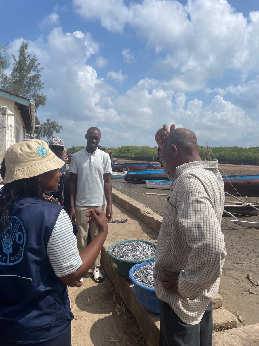 FAO in Kenya tweet media