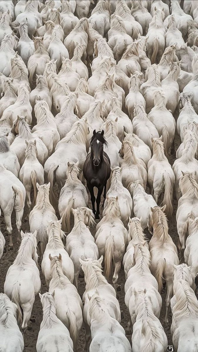 *خالِف هَواكَ إِذا دَعاكَ لِرَيبَةٍ*
*فَلَرُبَّ خَيرٍ في مُخالَفَةِ الهَوى👌👍🌷*