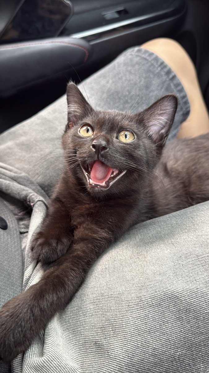 DNVP 💋 (Malonfamily) tweet media