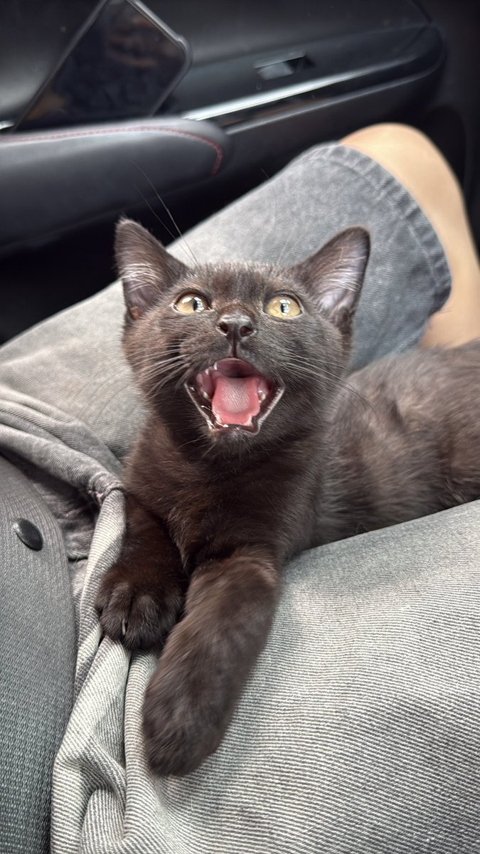 ตอนนั่งรถมา เด็กน้อยตื่นเต้นใหญ่เลย เอ็นดู🖤🤏🏻