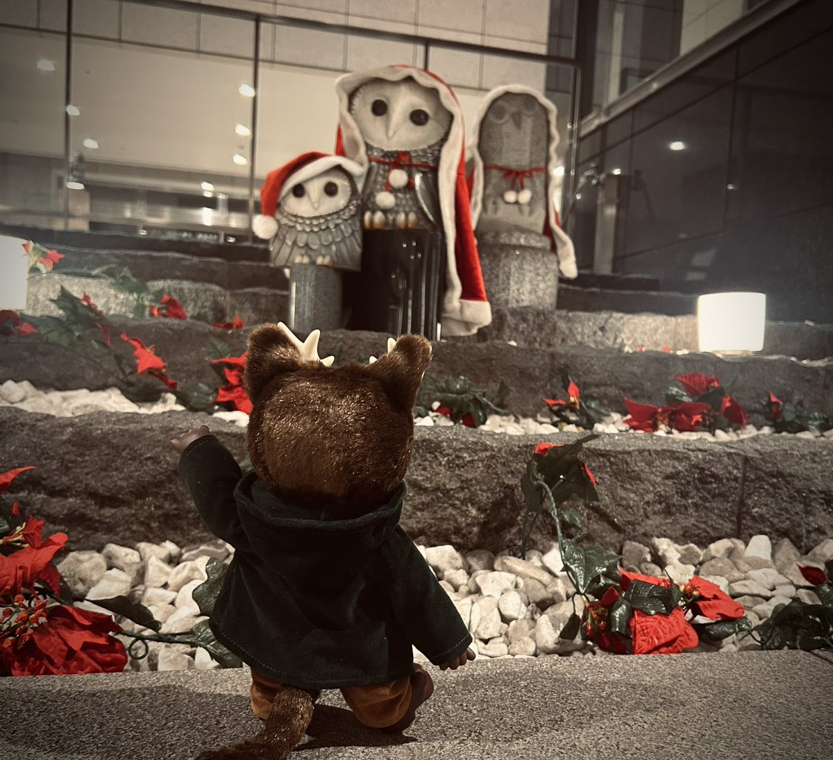 ひなたかほり🪴🐀 (@hinatique) / Posts / X