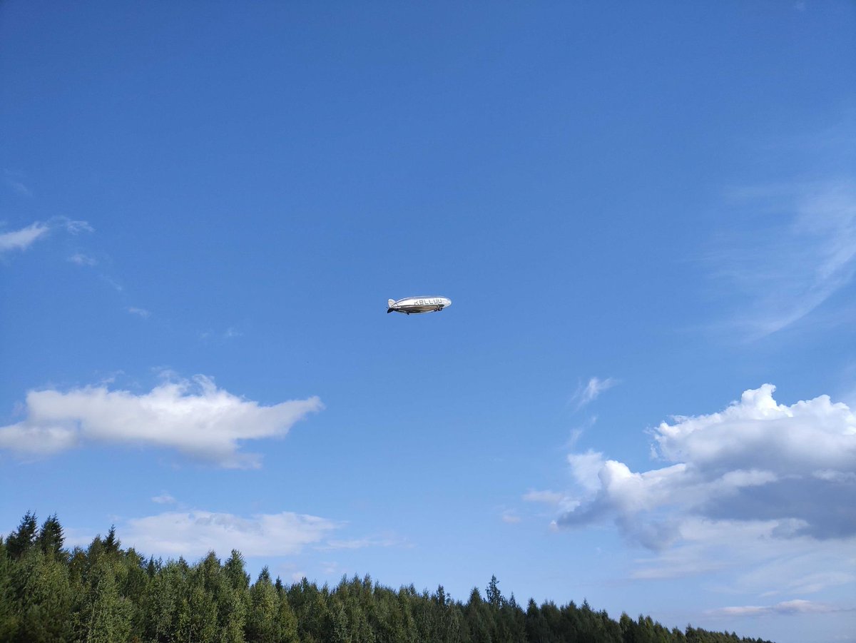 SingleTree_EU tweet media