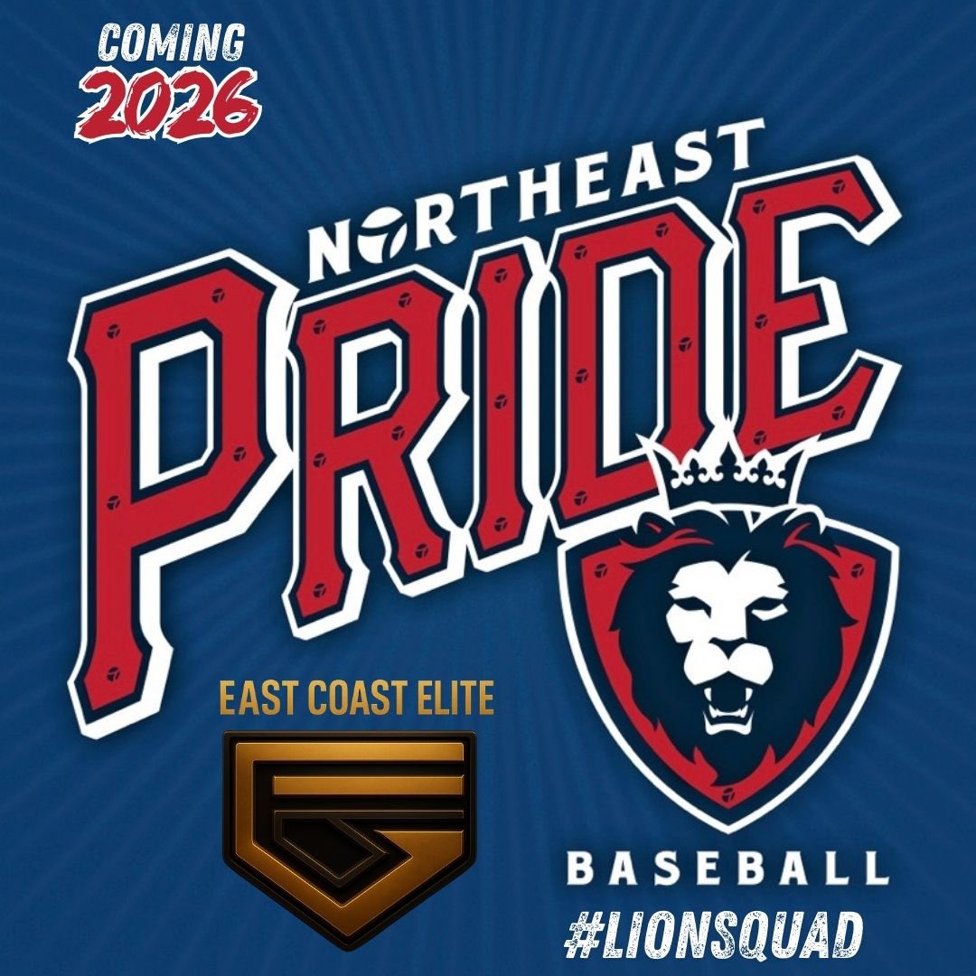 NEPridebaseball tweet media