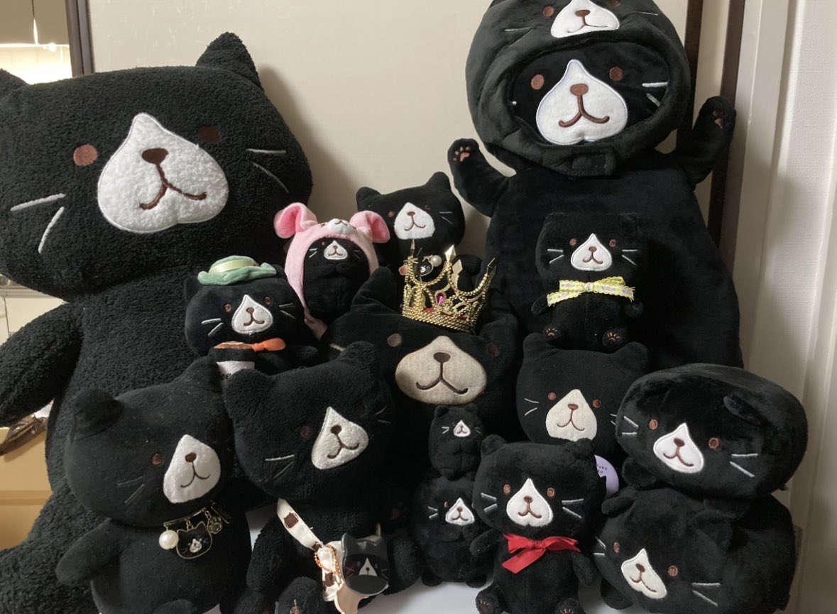 pachisuke88's tweet photo. クロ助、大集合！

 #ふくにゃんファンブック https://t.co/Lz9pEJJNDI