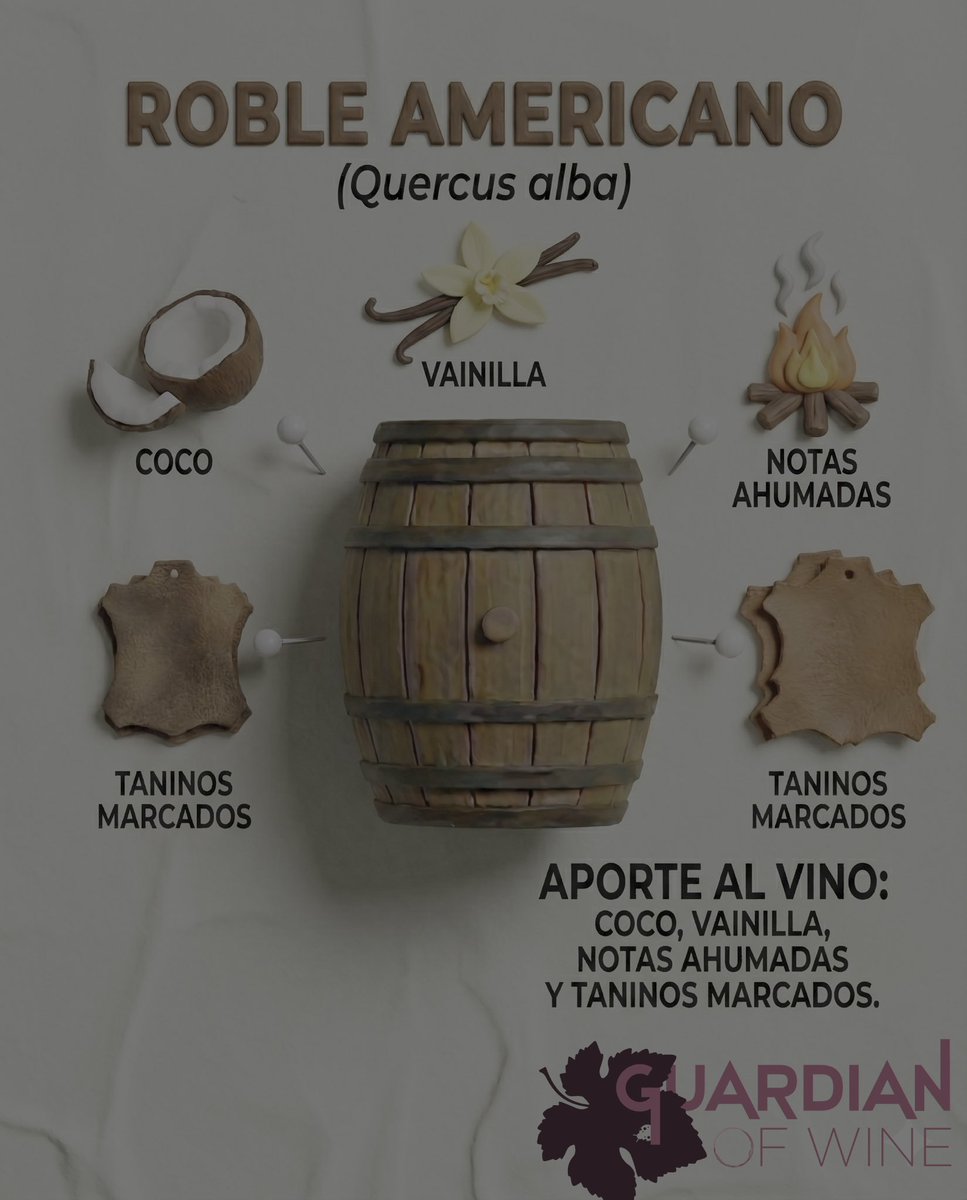 GuardianofWine's tweet photo. La barrica no es solo un envase, es un ingrediente activo para el #vino. 🧪✨ 

Muchos piensan solo en "roble", pero la botánica detrás de la crianza es mucho más amplia. https://t.co/jlL6P66sSI