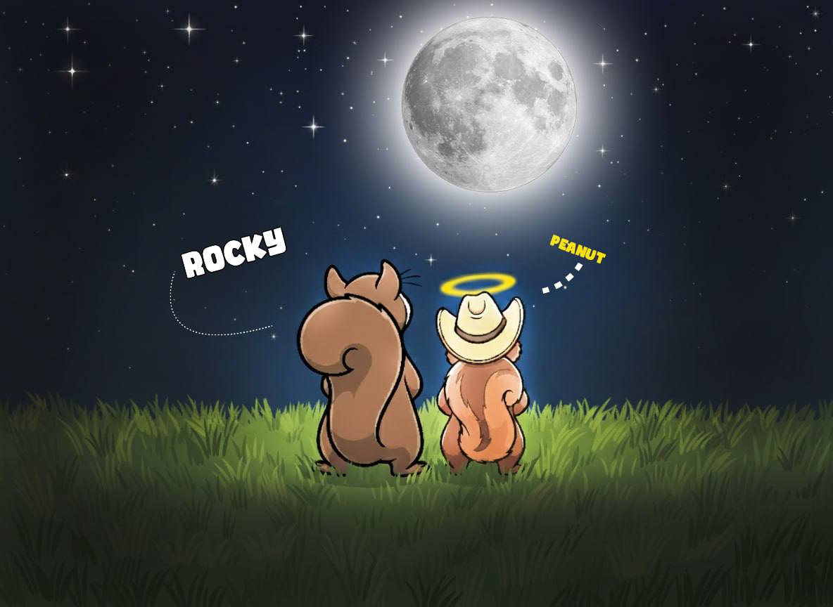 RockyOnSpaceX's tweet image. Following in the footsteps.. 🐿️’