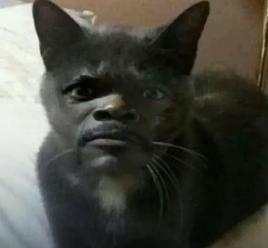 Fàamous Angel D'ar tweet media