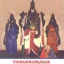 thedharmik2003's tweet photo. Divyadesam related to Brihaspati Bhagwan - Adinatha Perumal, Alwar Thirunagari (thirukkurugur).

Clarification - The temple I've quoted below is Budha graha (mercury) sthalam. Not Buddha sthala

PS: The graha dosha nivarana is supplementary but bhagawan is main focus here.

I am going to tell you about navagraha related vaishnava divyadesams (navatirupatis) near Thirunelveli in Tamilnadu. Each divyadesam will reduce bad effects of it's respective graha.

Sthala Puranam:

Azhwar Thirunagari, also known as Thirukkurugoor, is the foremost and most important among the nine sacred temples collectively called Nava Thiruppathi, situated on both banks of the Tamirabarani (Thamirabarani) river in Thirunelveli district. Sriman Narayanan Himself declared this place as the “Aadhi Temple” (the first and primary temple). He told Brahma that even before creating him, He had come to the banks of the Porunai (Tamirabarani) river and resided here, instructing Brahma to worship Him here first. Since the Lord acted as Guru to Brahma and said “kuru” (do this – meaning perform tapas and worship Me here), the place came to be called Kurugoor, which later became Thirukkurugoor and Azhwar Thirunagari.

The Moolavar here is Sri Aadhinatha Perumal (Aadhinarayanan), a gigantic self-manifested (Suyambhu) form whose sacred feet extend deep into the earth. Devendra was relieved of his curse by worshipping this Perumal. It is believed that Lakshmana, the brother of Sri Rama, installed himself as the ancient tamarind tree in this temple, and the Lord resides in that tree in Brahmacharya form. When Mahalakshmi approached Him seeking marriage, He transformed her into a flower and wore her on His chest.

This is the avatara sthalam of the greatest among the twelve Alwars – Nammalwar. He was born on Vaikasi Visakam (full-moon day of Vaikasi) to Kariyar (also called Kaarimaran) and Udaya Nangai. Miraculously, the child neither cried, opened his eyes, nor took milk at birth, earning him the name “Sadagopan” (one who conquered even the life-air). Worried parents left the infant under the tamarind tree in the Aadhinatha temple, where he sat in deep yoga for 16 years without food, sleep, or speech, his mind completely absorbed in Sriman Narayanan.

During this time, Madhurakavi Alwar, born in Thirukkoloor, was on pilgrimage to Ayodhya and other northern shrines when a divine light guided him southward. The light vanished at this temple, where he found the 16-year-old Nammalwar in meditation. To test him, Madhurakavi asked: “If the small one (soul) is born in the dead one (body), what does it eat and where does it rest?” Nammalwar broke his long silence and answered: “Atthai thinru ange kidakkum” – it will eat That (Paramatma) and remain there itself. Overwhelmed, Madhurakavi accepted Nammalwar as his Acharya. When Perumal gave darshan to open Nammalwar’s eyes, Madhurakavi saw only his guru and composed the famous “Kanninun Siruththambu” in praise of Nammalwar alone. Because he completely belongs to the devotees (“Nam” = ours), Sadagopan is lovingly called Nammalwar.Sitting beneath the same tamarind tree (now known as “Puliyalwar” (the tree still stands with holes and receives daily thirumanjanam), Nammalwar opened his divine eye of wisdom and performed mangalasasanam on 35 Divya Desams. His four prabandhams – Thiruviruttam, Thiruvasiriyam, Periya Thiruvandadi, and the magnum opus Thiruvaimozhi – are regarded as the Tamil essence of the four Vedas.

The temple has many unique features: the Sadaari placed on devotees’ heads in all Vishnu temples is shaped exactly like Nammalwar’s divine feet; Sri Ramanujar’s vigraha here uniquely wears white cloth instead of saffron; separate sannadhis exist for Thiruvenkata Mudaiyan, Aranganathan, Andal, Vedanta Desika, and Manavala Mamunigal. Since both Lakshmi and Udaya Nangai are considered mothers to Nammalwar, all nine Nava Thiruppathi temples have two Thayars. One mile away lies “Appan Sannadhi,” the shrine of Nammalwar’s father.Thus, Azhwar Thirunagari stands as the holiest among the Nava Thiruppathi temples – the birthplace of Nammalwar, the leader of all Alwars, and the sacred spot where the Lord Himself became Guru to Brahma and accepted the devotion of countless bhaktas through His beloved Alwar.