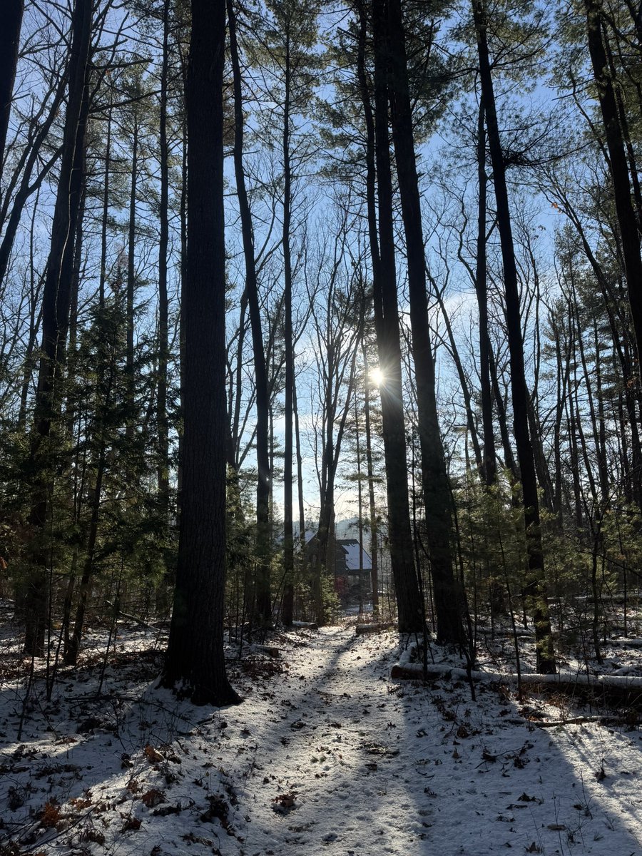 gm legends☀️

“nature is not a place to visit. it is home”

push culture 😎