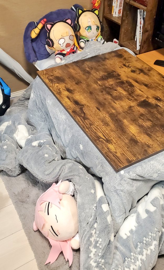 今年もコタツを出しました