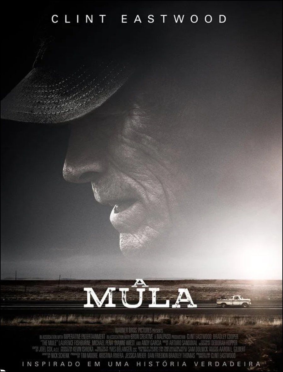 Eita já lançaram o filme do bolsonaro