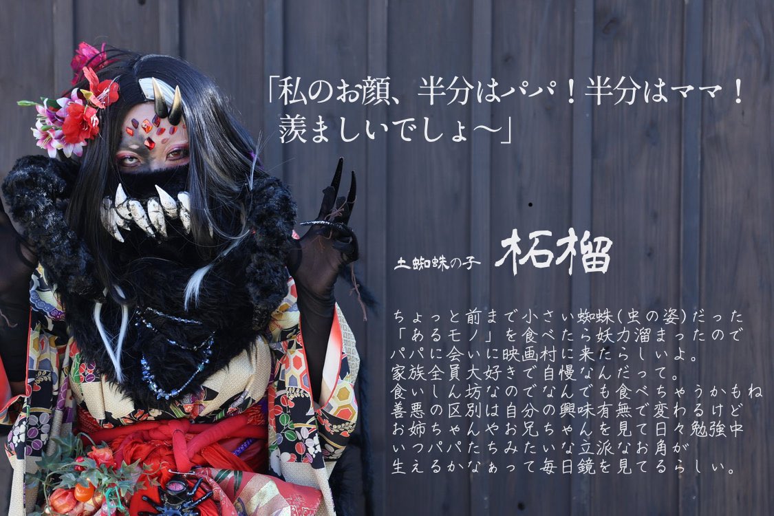 シノシノ まとめ売り 731 ヨドバシ.com - ハシートップイン Hashy Top