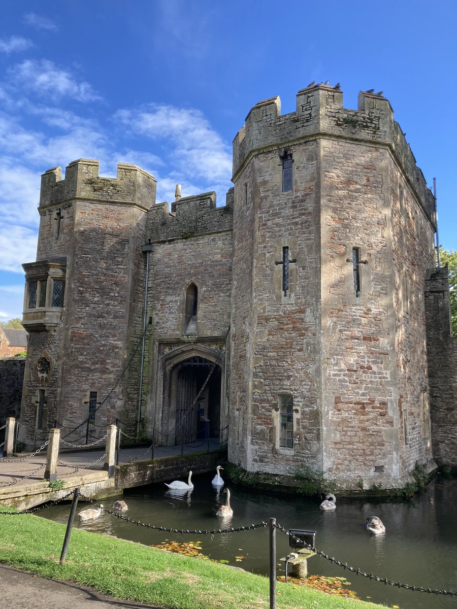 MythoBritannia's tweet image. 