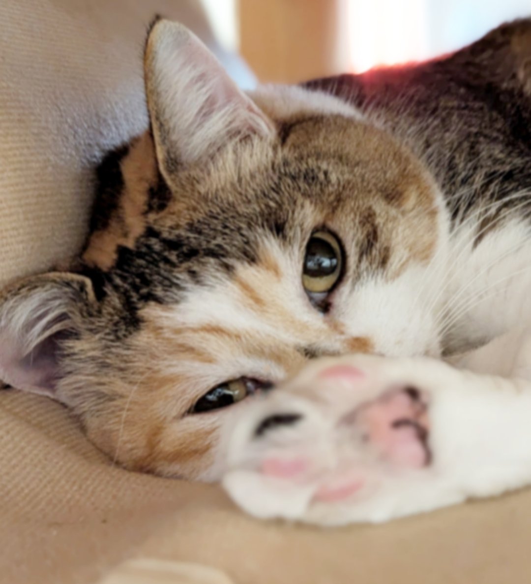 こんばんにゃ🐱💕