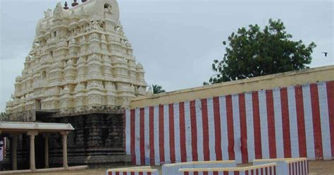 thedharmik2003's tweet photo. Divyadesam related to Brihaspati Bhagwan - Adinatha Perumal, Alwar Thirunagari (thirukkurugur).

Clarification - The temple I've quoted below is Budha graha (mercury) sthalam. Not Buddha sthala

PS: The graha dosha nivarana is supplementary but bhagawan is main focus here.

I am going to tell you about navagraha related vaishnava divyadesams (navatirupatis) near Thirunelveli in Tamilnadu. Each divyadesam will reduce bad effects of it's respective graha.

Sthala Puranam:

Azhwar Thirunagari, also known as Thirukkurugoor, is the foremost and most important among the nine sacred temples collectively called Nava Thiruppathi, situated on both banks of the Tamirabarani (Thamirabarani) river in Thirunelveli district. Sriman Narayanan Himself declared this place as the “Aadhi Temple” (the first and primary temple). He told Brahma that even before creating him, He had come to the banks of the Porunai (Tamirabarani) river and resided here, instructing Brahma to worship Him here first. Since the Lord acted as Guru to Brahma and said “kuru” (do this – meaning perform tapas and worship Me here), the place came to be called Kurugoor, which later became Thirukkurugoor and Azhwar Thirunagari.

The Moolavar here is Sri Aadhinatha Perumal (Aadhinarayanan), a gigantic self-manifested (Suyambhu) form whose sacred feet extend deep into the earth. Devendra was relieved of his curse by worshipping this Perumal. It is believed that Lakshmana, the brother of Sri Rama, installed himself as the ancient tamarind tree in this temple, and the Lord resides in that tree in Brahmacharya form. When Mahalakshmi approached Him seeking marriage, He transformed her into a flower and wore her on His chest.

This is the avatara sthalam of the greatest among the twelve Alwars – Nammalwar. He was born on Vaikasi Visakam (full-moon day of Vaikasi) to Kariyar (also called Kaarimaran) and Udaya Nangai. Miraculously, the child neither cried, opened his eyes, nor took milk at birth, earning him the name “Sadagopan” (one who conquered even the life-air). Worried parents left the infant under the tamarind tree in the Aadhinatha temple, where he sat in deep yoga for 16 years without food, sleep, or speech, his mind completely absorbed in Sriman Narayanan.

During this time, Madhurakavi Alwar, born in Thirukkoloor, was on pilgrimage to Ayodhya and other northern shrines when a divine light guided him southward. The light vanished at this temple, where he found the 16-year-old Nammalwar in meditation. To test him, Madhurakavi asked: “If the small one (soul) is born in the dead one (body), what does it eat and where does it rest?” Nammalwar broke his long silence and answered: “Atthai thinru ange kidakkum” – it will eat That (Paramatma) and remain there itself. Overwhelmed, Madhurakavi accepted Nammalwar as his Acharya. When Perumal gave darshan to open Nammalwar’s eyes, Madhurakavi saw only his guru and composed the famous “Kanninun Siruththambu” in praise of Nammalwar alone. Because he completely belongs to the devotees (“Nam” = ours), Sadagopan is lovingly called Nammalwar.Sitting beneath the same tamarind tree (now known as “Puliyalwar” (the tree still stands with holes and receives daily thirumanjanam), Nammalwar opened his divine eye of wisdom and performed mangalasasanam on 35 Divya Desams. His four prabandhams – Thiruviruttam, Thiruvasiriyam, Periya Thiruvandadi, and the magnum opus Thiruvaimozhi – are regarded as the Tamil essence of the four Vedas.

The temple has many unique features: the Sadaari placed on devotees’ heads in all Vishnu temples is shaped exactly like Nammalwar’s divine feet; Sri Ramanujar’s vigraha here uniquely wears white cloth instead of saffron; separate sannadhis exist for Thiruvenkata Mudaiyan, Aranganathan, Andal, Vedanta Desika, and Manavala Mamunigal. Since both Lakshmi and Udaya Nangai are considered mothers to Nammalwar, all nine Nava Thiruppathi temples have two Thayars. One mile away lies “Appan Sannadhi,” the shrine of Nammalwar’s father.Thus, Azhwar Thirunagari stands as the holiest among the Nava Thiruppathi temples – the birthplace of Nammalwar, the leader of all Alwars, and the sacred spot where the Lord Himself became Guru to Brahma and accepted the devotion of countless bhaktas through His beloved Alwar.