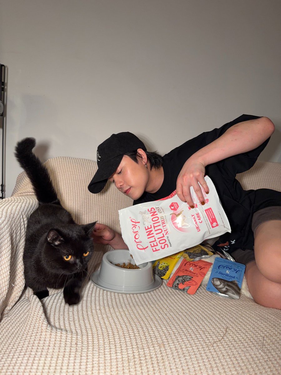 JMJlabel's tweet photo. Repost • @jamyjamess โจนิ จะดึงหน้าทำไมครับ🤨 
ส่วนขนสวยๆได้มาจากพรามี่ครับ🐈‍⬛
#Jamyjamess
#pramycat #อาหารแมวพรามี่ https://t.co/AIYZQS1iXv