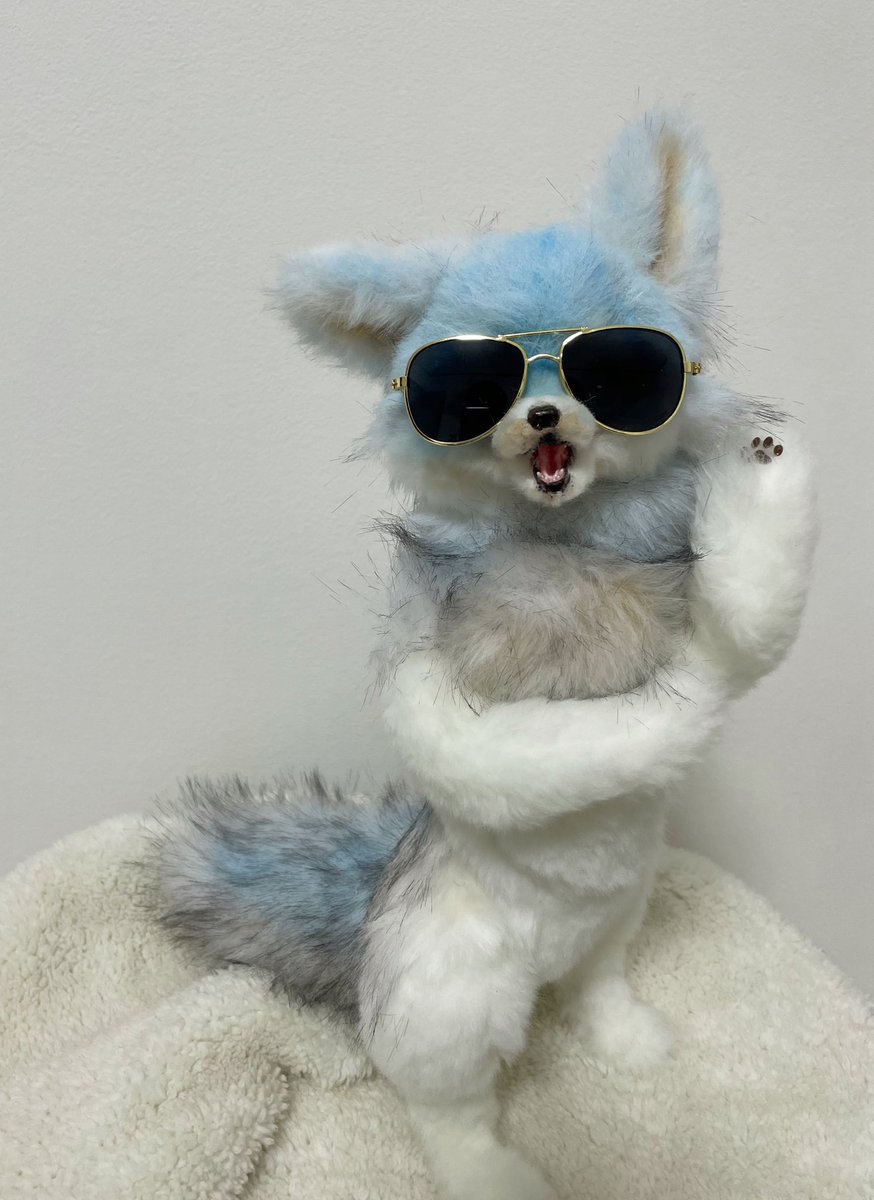 LArtDoll's tweet photo. ふわもこ系キメ顔キツネ、スカイ参上😎🦊
サングラスでカッコつけてるけど8割ギャグ、2割だけクール。
しっぽは常時うごいてます。よろしくどうぞ✨
明日12/10夜9時頃まで🌉💫
#アートドール #ぬいぐるみ #キメ顔失敗キツネ #FluffyFox https://t.co/cOQb068y23
