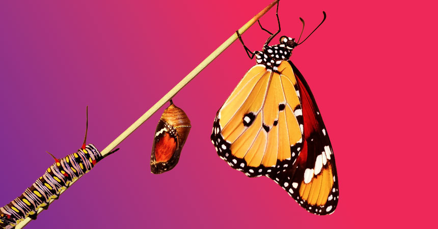 VoxOptima's tweet image. The art of reinvention: A roadmap for #rebranding your professional services firm ~ Richard Silbermann | ow.ly/YUPG50XFEqQ @psmprofs

"Before you even think about a new visual identity or write a single line of copy, you need a clear, reason for the #rebrand."