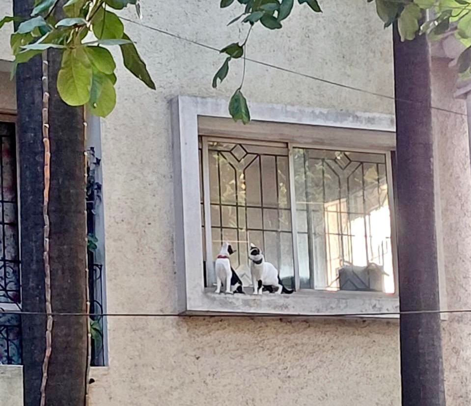 A for Aruna tweet media