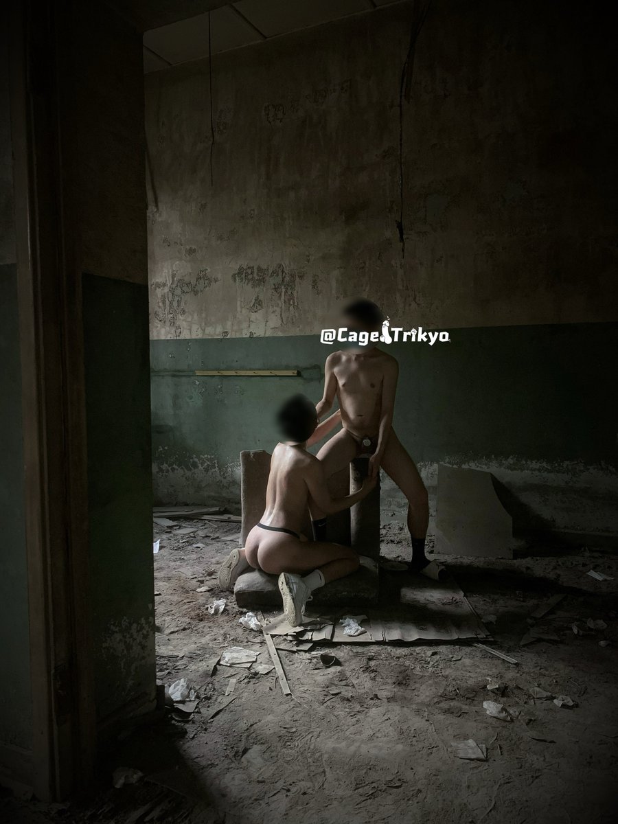 标准共犯 tweet media