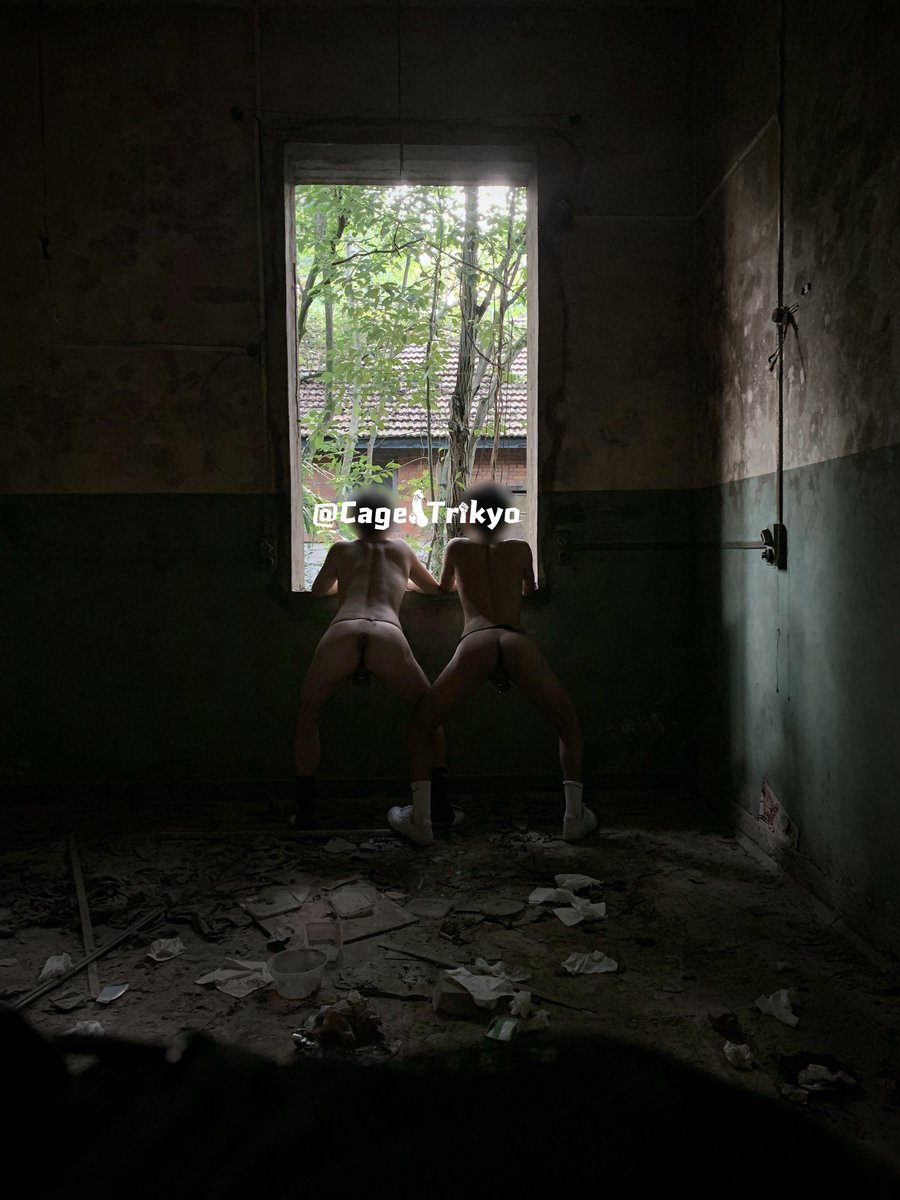 标准共犯 tweet media