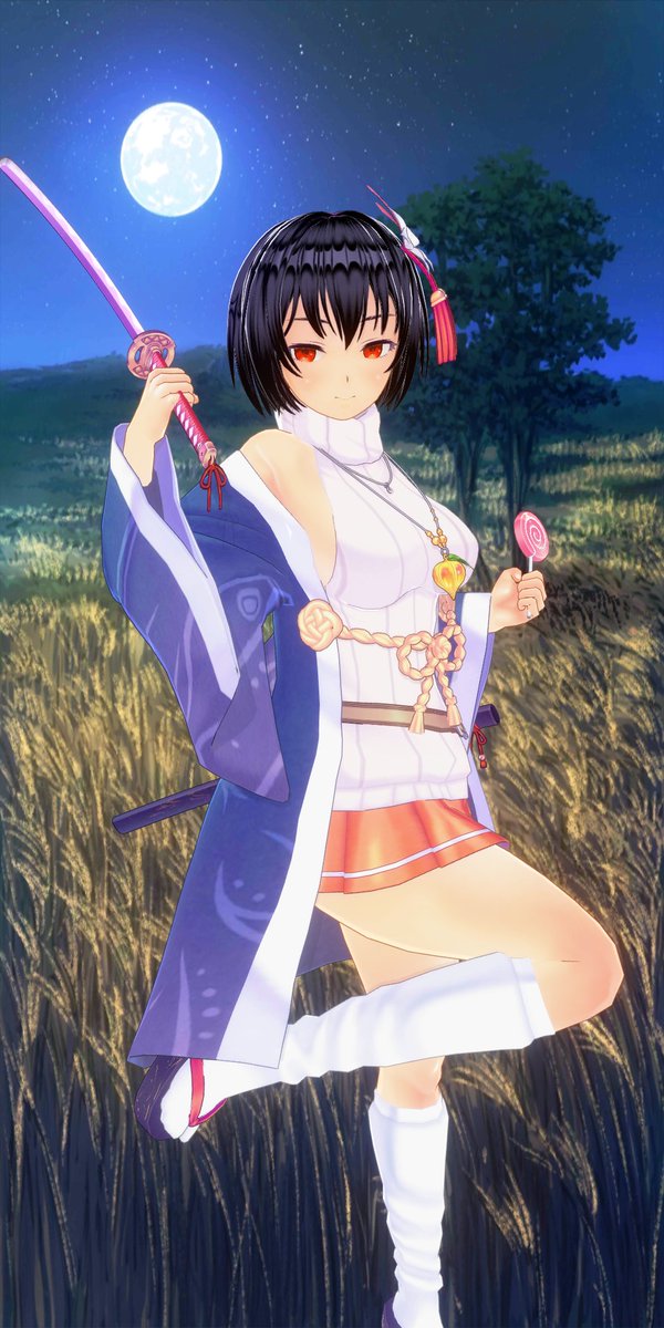 さなぎ様 専用！！！ともや様 やなぎ ZX｜製品紹介｜YASAKA株式会社