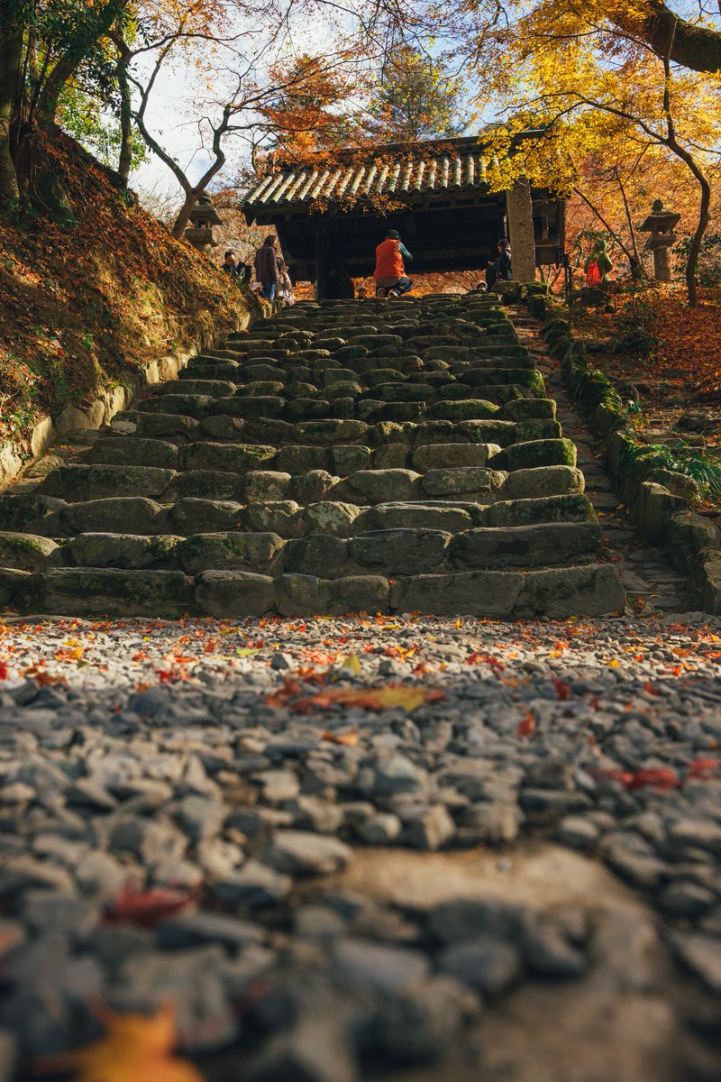 KOU (@greeeenpengin) / Posts / X