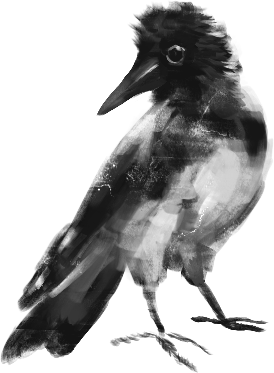 98Aviii's tweet photo. tweet tweet 
#twitter #birdpainting #dailypaint #artshare #artmoots https://t.co/tLned0gOgm