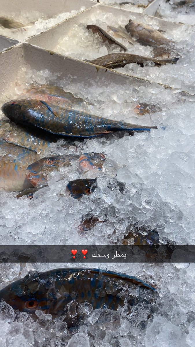 خلونا في جدة احسن ❤️‍🩹❤️‍🩹