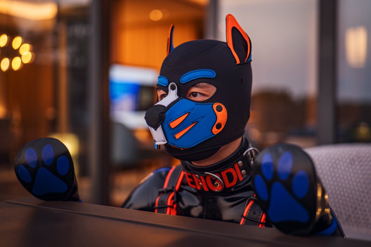 Autumn pup, limited edition🐶

📸<a href="/LostYutou/">YUTOU</a>