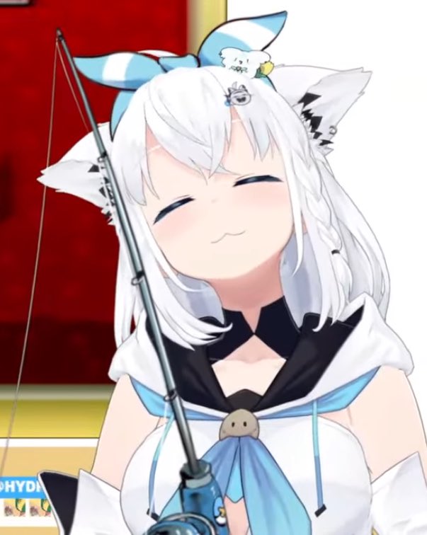 今日もフブちゃんは可愛い‼️ #金コイフブさん #フブキングダム